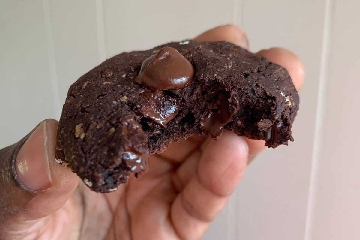 Gluten Free Double Chocolate Cookies (With Oats)