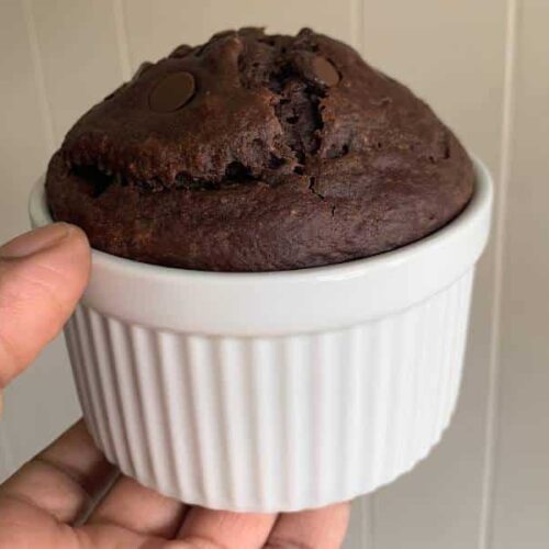 chocolate oat mug cake
